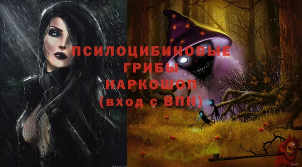 тгк Краснослободск
