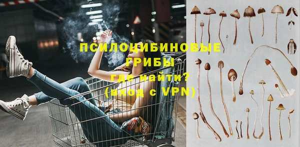 мдпв Краснотурьинск