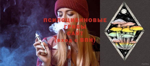 тгк Краснослободск