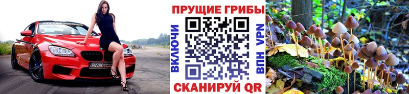 Купить закладки  Бирск  Псилоцибиновые грибы Psilocybine cubensis 
